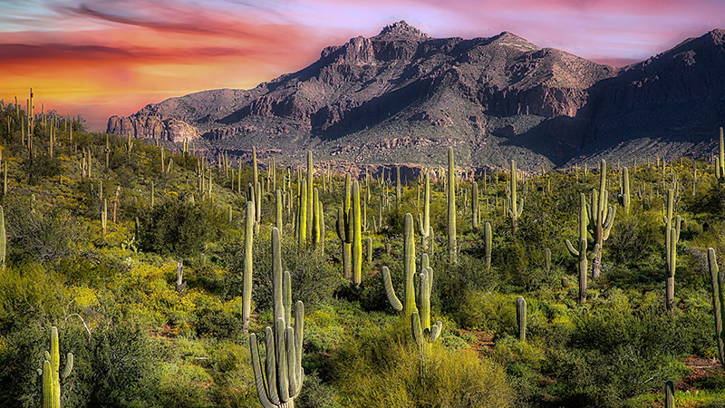 Phoenix, AZ